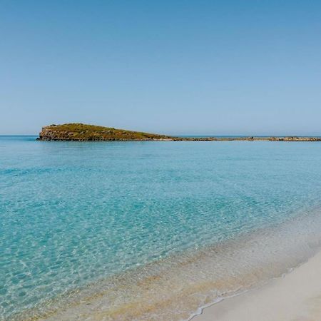 Narcissos Nissi Beach Apartment C16 أيا نابا المظهر الخارجي الصورة